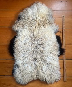 Navajo Churro Sheepskin BC251