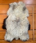 Navajo Churro Sheepskin BC255